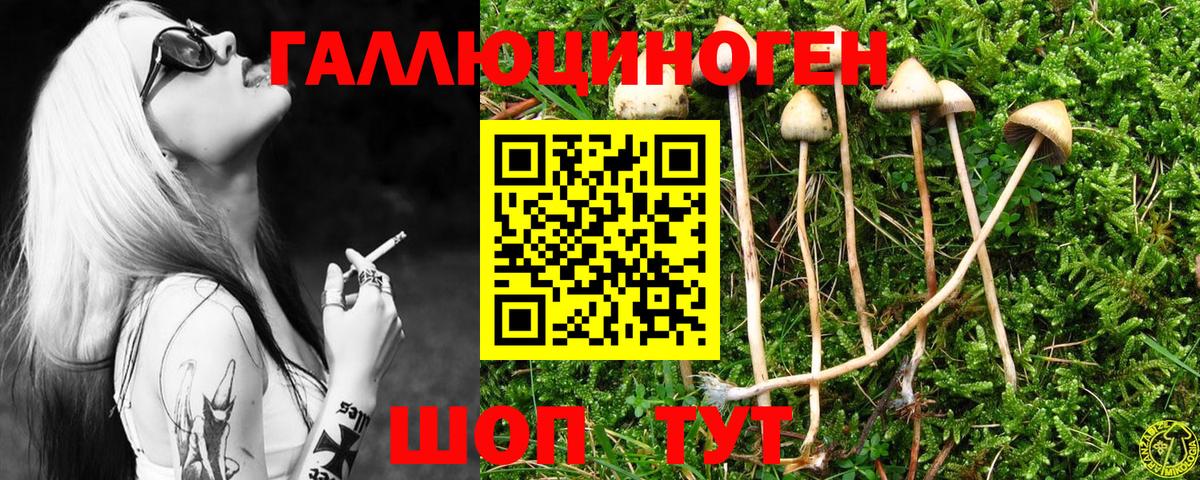 Галлюциногенные грибы MAGIC MUSHROOMS Саранск
