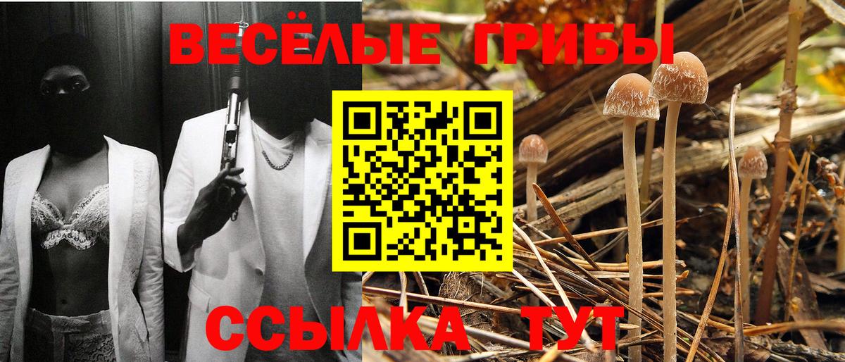 как найти закладки  Вход с VPN  Галлюциногенные грибы Psilocybe  Саранск  Галлюциногенные грибы мухоморы 